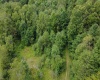TBD Kanes Creek Road, Reedsville, West Virginia 26547, ,Lots/land,For Sale,Kanes Creek,10160758