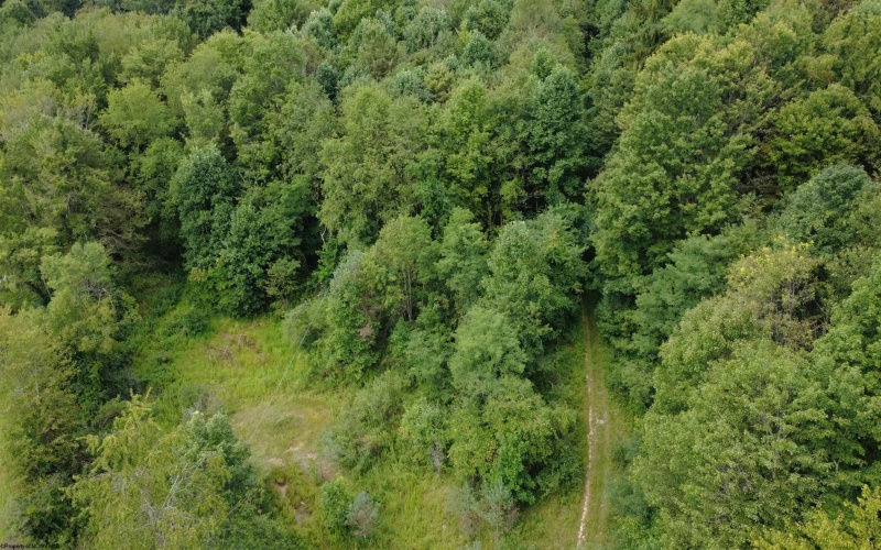 TBD Kanes Creek Road, Reedsville, West Virginia 26547, ,Lots/land,For Sale,Kanes Creek,10160758