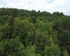 TBD Kanes Creek Road, Reedsville, West Virginia 26547, ,Lots/land,For Sale,Kanes Creek,10160758