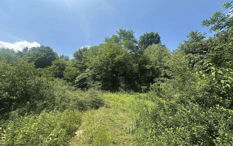 TBD Kanes Creek Road, Reedsville, West Virginia 26547, ,Lots/land,For Sale,Kanes Creek,10160758