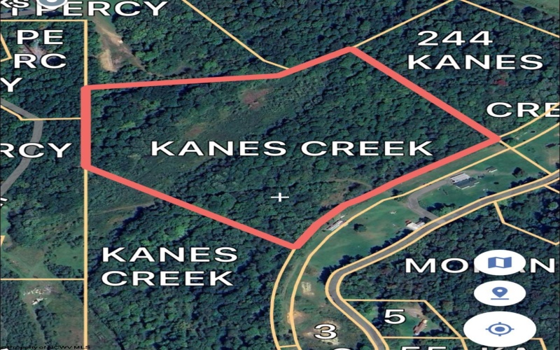 TBD Kanes Creek Road, Reedsville, West Virginia 26547, ,Lots/land,For Sale,Kanes Creek,10160758