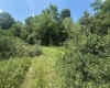 TBD Kanes Creek Road, Reedsville, West Virginia 26547, ,Lots/land,For Sale,Kanes Creek,10160758