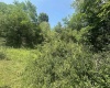 TBD Kanes Creek Road, Reedsville, West Virginia 26547, ,Lots/land,For Sale,Kanes Creek,10160758