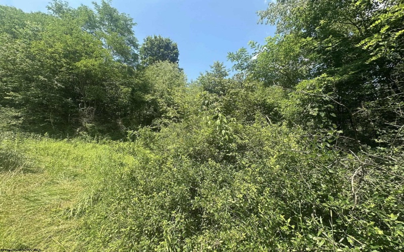 TBD Kanes Creek Road, Reedsville, West Virginia 26547, ,Lots/land,For Sale,Kanes Creek,10160758