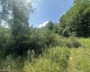 TBD Kanes Creek Road, Reedsville, West Virginia 26547, ,Lots/land,For Sale,Kanes Creek,10160758