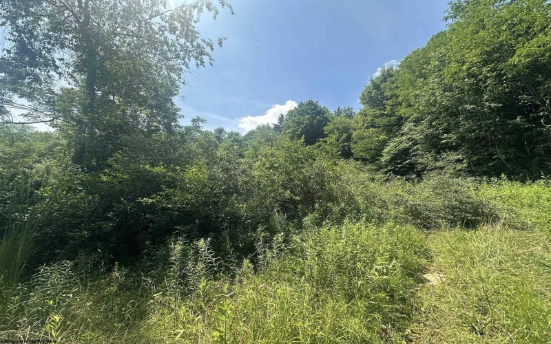 TBD Kanes Creek Road, Reedsville, West Virginia 26547, ,Lots/land,For Sale,Kanes Creek,10160758