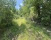 TBD Kanes Creek Road, Reedsville, West Virginia 26547, ,Lots/land,For Sale,Kanes Creek,10160758