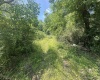 TBD Kanes Creek Road, Reedsville, West Virginia 26547, ,Lots/land,For Sale,Kanes Creek,10160758