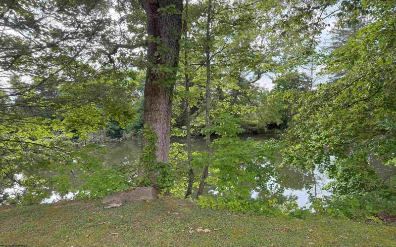 39 Barron Avenue, Elkins, West Virginia 26241, 3 Bedrooms Bedrooms, 6 Rooms Rooms,1 BathroomBathrooms,Single Family Detached,For Sale,Barron,10160752