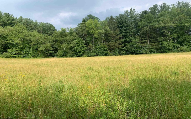20326 Barbour County Highway, Philippi, West Virginia 26416, 2 Bedrooms Bedrooms, 5 Rooms Rooms,1 BathroomBathrooms,Single Family Detached,For Sale,Barbour County,10155443