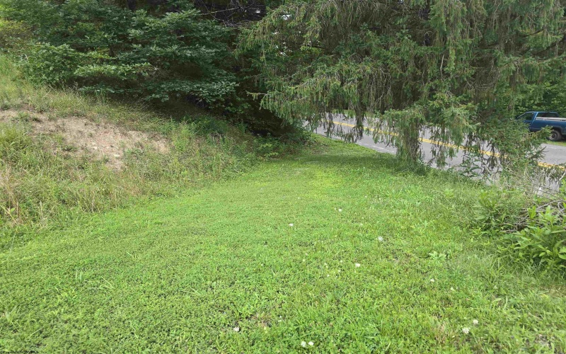 15090 Route 20 South Road, Rock Cave, West Virginia 26234, ,Lots/land,For Sale,Route 20 South,10160772