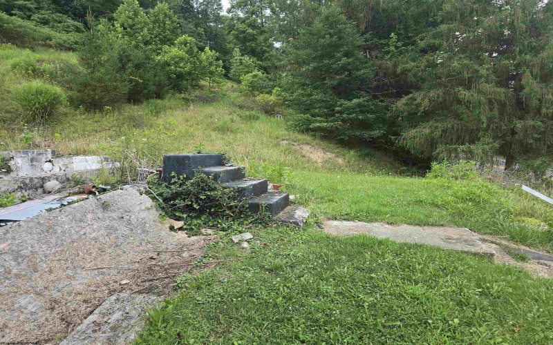15090 Route 20 South Road, Rock Cave, West Virginia 26234, ,Lots/land,For Sale,Route 20 South,10160772
