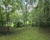 15090 Route 20 South Road, Rock Cave, West Virginia 26234, ,Lots/land,For Sale,Route 20 South,10160772
