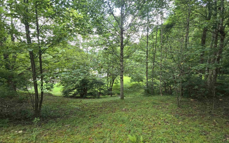 15090 Route 20 South Road, Rock Cave, West Virginia 26234, ,Lots/land,For Sale,Route 20 South,10160772