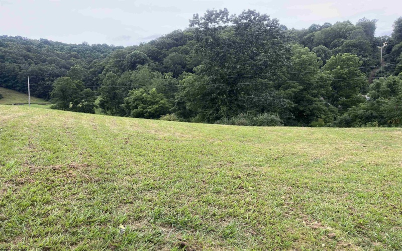 2053 Glady Fork Road, Weston, West Virginia 26452, 3 Bedrooms Bedrooms, 5 Rooms Rooms,1 BathroomBathrooms,Single Family Detached,For Sale,Glady Fork,10160809