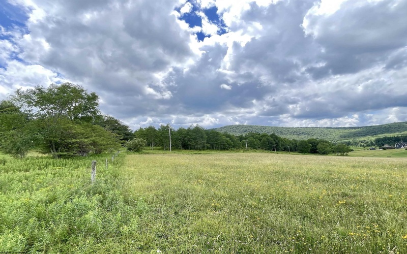 Tract I Mallow Lake Drive, Davis, West Virginia 26260, ,Lots/land,For Sale,Mallow Lake,10160793