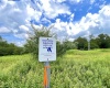 Tract I Mallow Lake Drive, Davis, West Virginia 26260, ,Lots/land,For Sale,Mallow Lake,10160793