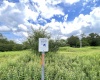 Tract I Mallow Lake Drive, Davis, West Virginia 26260, ,Lots/land,For Sale,Mallow Lake,10160793