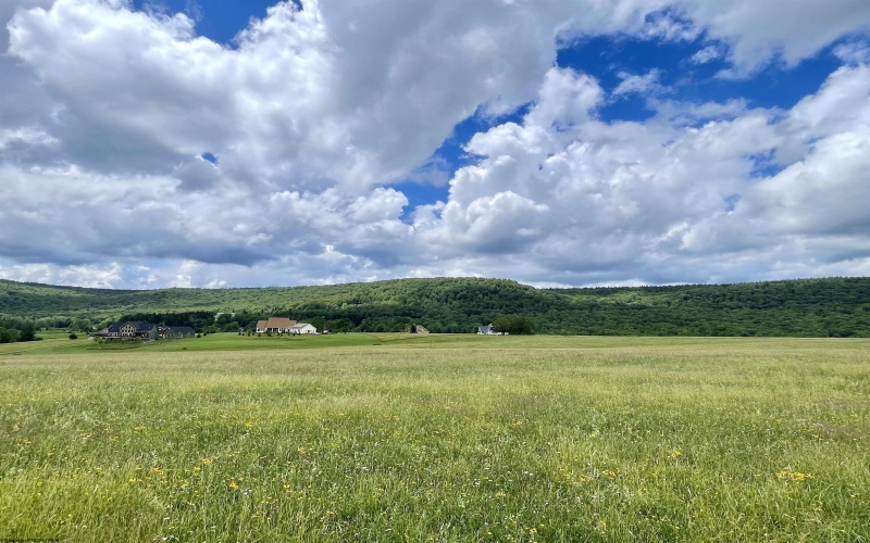Tract I Mallow Lake Drive, Davis, West Virginia 26260, ,Lots/land,For Sale,Mallow Lake,10160793