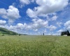 Tract I Mallow Lake Drive, Davis, West Virginia 26260, ,Lots/land,For Sale,Mallow Lake,10160793