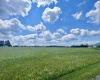 Tract I Mallow Lake Drive, Davis, West Virginia 26260, ,Lots/land,For Sale,Mallow Lake,10160793