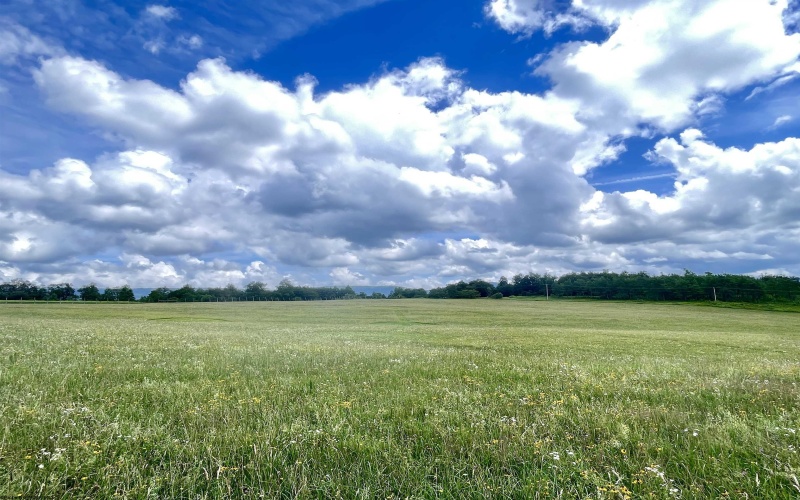 Tract I Mallow Lake Drive, Davis, West Virginia 26260, ,Lots/land,For Sale,Mallow Lake,10160793
