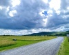 Tract I Mallow Lake Drive, Davis, West Virginia 26260, ,Lots/land,For Sale,Mallow Lake,10160793