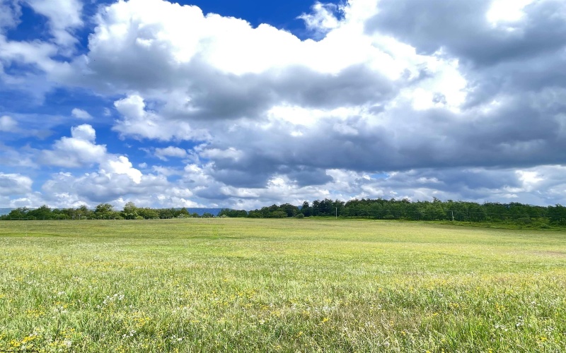 Tract I Mallow Lake Drive, Davis, West Virginia 26260, ,Lots/land,For Sale,Mallow Lake,10160793