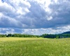 Tract I Mallow Lake Drive, Davis, West Virginia 26260, ,Lots/land,For Sale,Mallow Lake,10160793