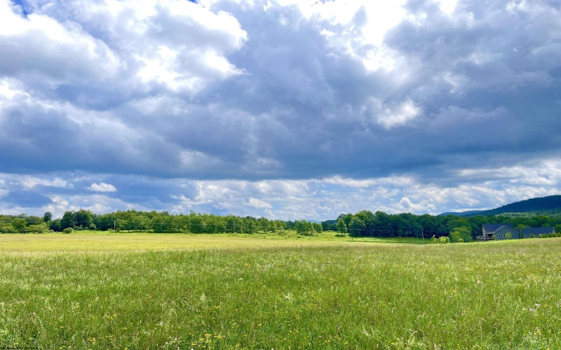 Tract I Mallow Lake Drive, Davis, West Virginia 26260, ,Lots/land,For Sale,Mallow Lake,10160793