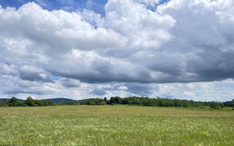 Tract I Mallow Lake Drive, Davis, West Virginia 26260, ,Lots/land,For Sale,Mallow Lake,10160793