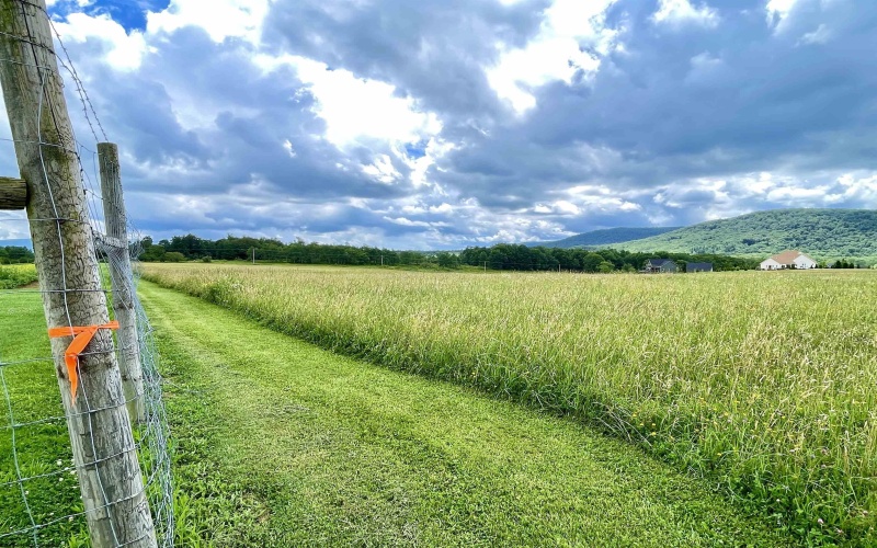 Tract I Mallow Lake Drive, Davis, West Virginia 26260, ,Lots/land,For Sale,Mallow Lake,10160793
