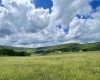 Tract I Mallow Lake Drive, Davis, West Virginia 26260, ,Lots/land,For Sale,Mallow Lake,10160793