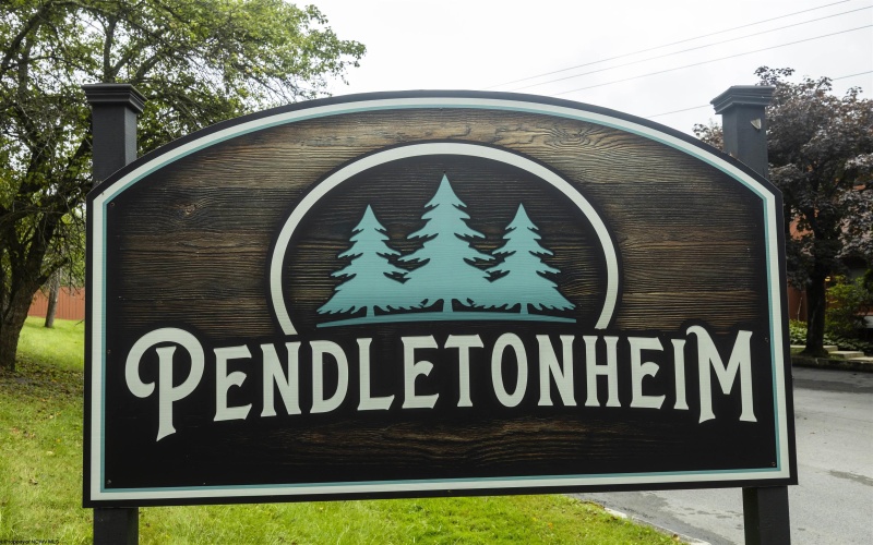 4 pendletonheim Circle, Davis, West Virginia 26260, 1 Bedroom Bedrooms, 3 Rooms Rooms,1 BathroomBathrooms,Single Family Attached,For Sale,pendletonheim,10160807