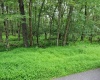 0 ALPINE Drive, Terra Alta, West Virginia 26764, ,Lots/land,For Sale,ALPINE,10160789