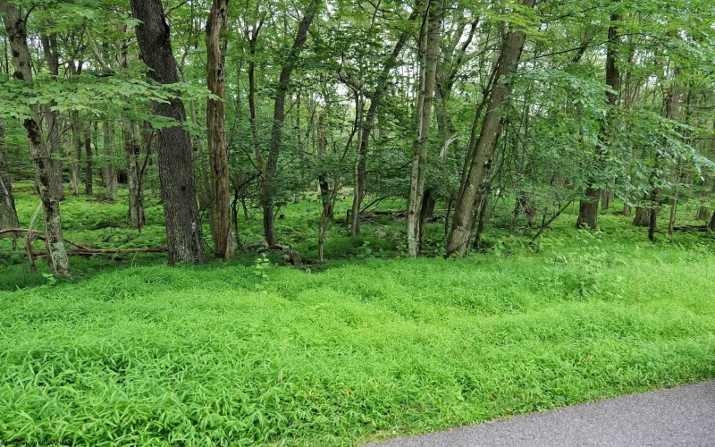 0 ALPINE Drive, Terra Alta, West Virginia 26764, ,Lots/land,For Sale,ALPINE,10160789