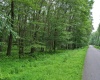 0 ALPINE Drive, Terra Alta, West Virginia 26764, ,Lots/land,For Sale,ALPINE,10160789