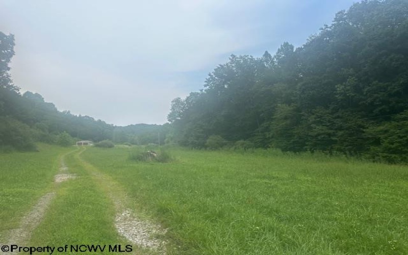 155 Toms Run Road, Roanoke, West Virginia 26447, 3 Bedrooms Bedrooms, 8 Rooms Rooms,2 BathroomsBathrooms,Single Family Detached,For Sale,Toms Run,10160794