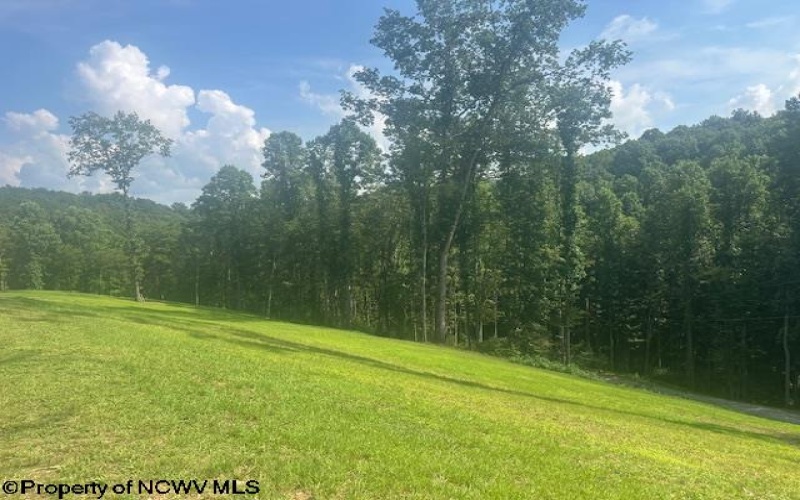 155 Toms Run Road, Roanoke, West Virginia 26447, 3 Bedrooms Bedrooms, 8 Rooms Rooms,2 BathroomsBathrooms,Single Family Detached,For Sale,Toms Run,10160794