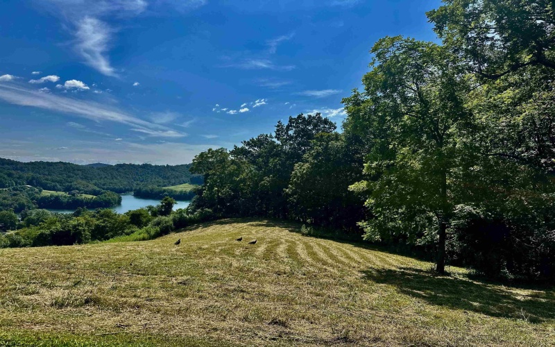 TBD Lakeview Heights, Horner, West Virginia 26372, ,Lots/land,For Sale,Lakeview,10160816