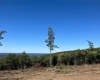2789 Salt Lick Road, Montrose, West Virginia 26283, ,Lots/land,For Sale,Salt Lick,10160823
