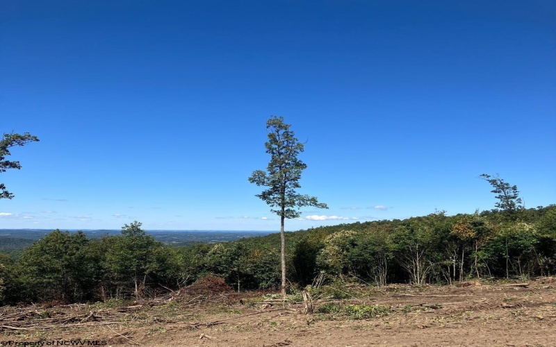 2789 Salt Lick Road, Montrose, West Virginia 26283, ,Lots/land,For Sale,Salt Lick,10160823