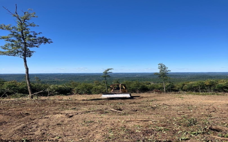 2789 Salt Lick Road, Montrose, West Virginia 26283, ,Lots/land,For Sale,Salt Lick,10160823