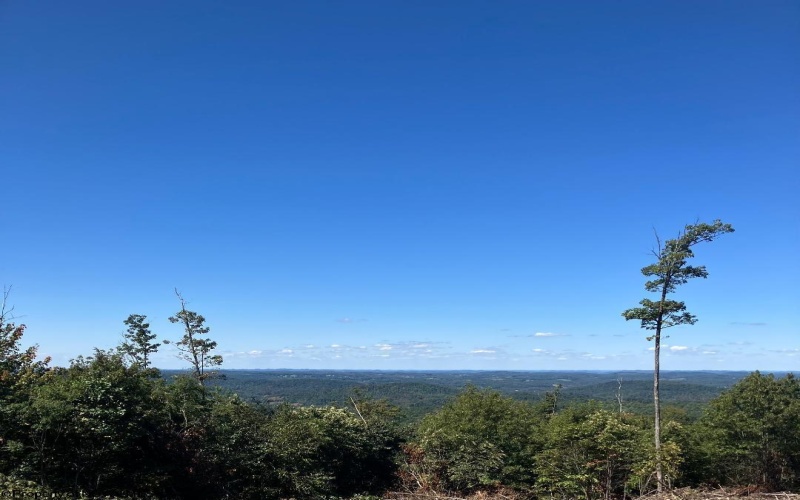 2789 Salt Lick Road, Montrose, West Virginia 26283, ,Lots/land,For Sale,Salt Lick,10160823