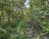 2789 Salt Lick Road, Montrose, West Virginia 26283, ,Lots/land,For Sale,Salt Lick,10160823