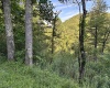 2789 Salt Lick Road, Montrose, West Virginia 26283, ,Lots/land,For Sale,Salt Lick,10160823