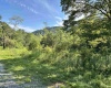 2789 Salt Lick Road, Montrose, West Virginia 26283, ,Lots/land,For Sale,Salt Lick,10160823