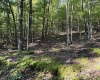 2789 Salt Lick Road, Montrose, West Virginia 26283, ,Lots/land,For Sale,Salt Lick,10160823