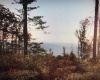 2789 Salt Lick Road, Montrose, West Virginia 26283, ,Lots/land,For Sale,Salt Lick,10160823