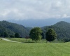 550 Falling Rock Road, Bowden, West Virginia 26254, 3 Bedrooms Bedrooms, 6 Rooms Rooms,2 BathroomsBathrooms,Single Family Detached,For Sale,Falling Rock,10160836
